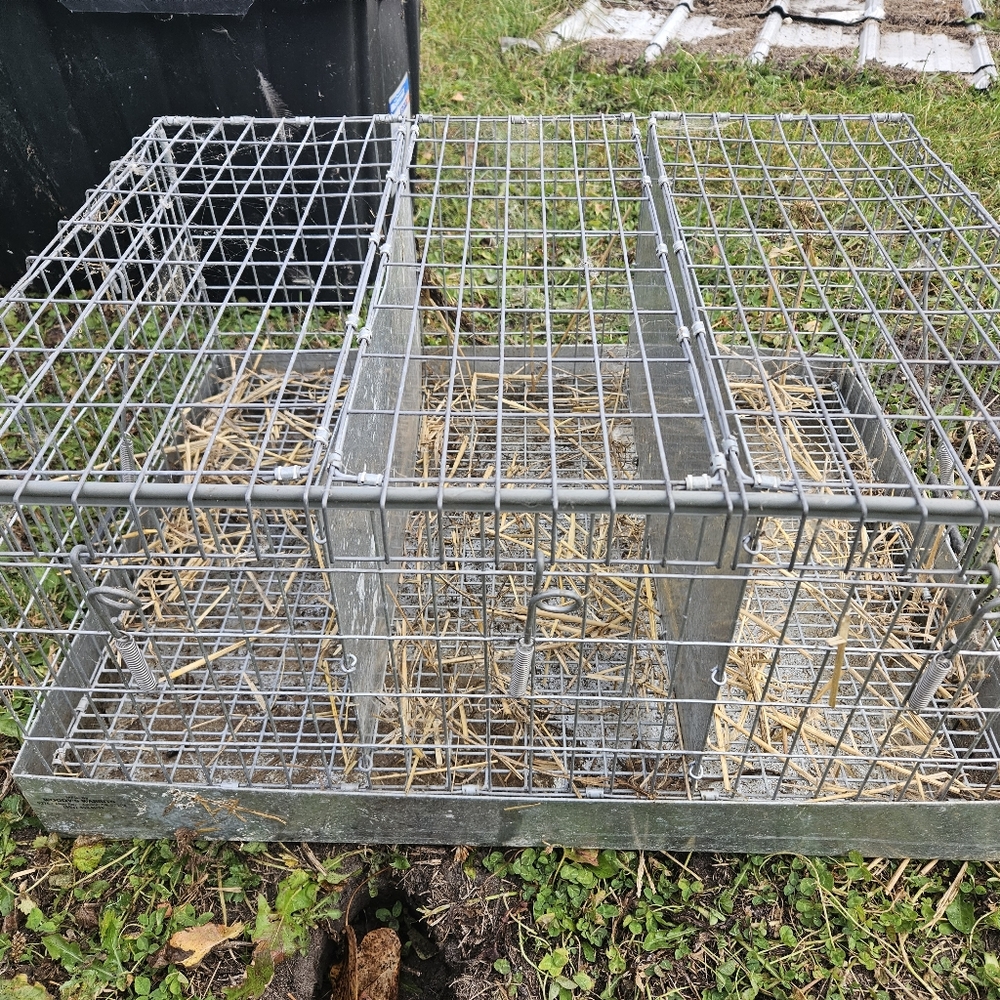 Rabbit/small animal cage/carrier